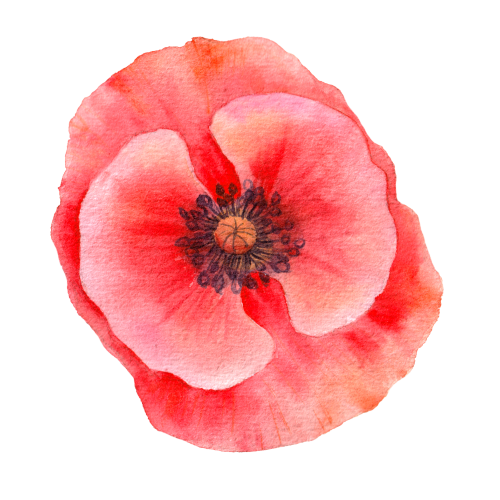 Camille Godard - Picto fleur 4