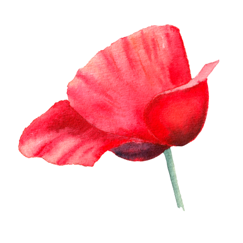 Camille Godard - Picto fleur 3