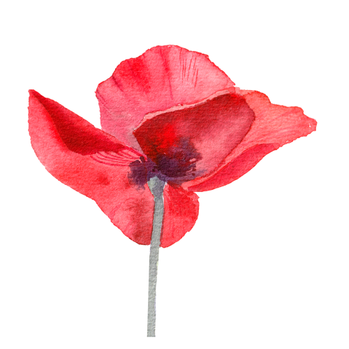 Camille Godard - Picto fleur 1